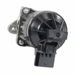Exhaust Gas Recirculation (EGR) Valve