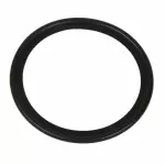 Engine Oil Cooler Gasket
