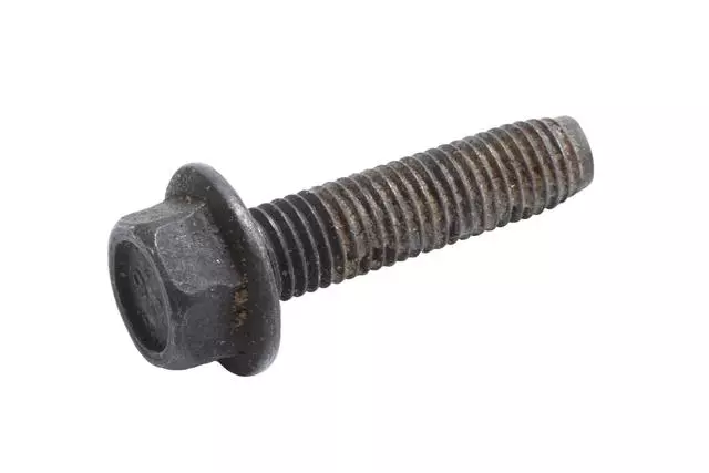 Multi-Purpose Bolt