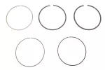 Engine Piston Ring Kit