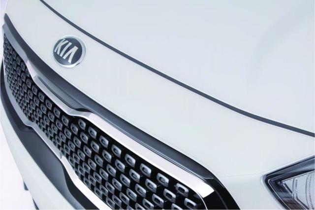 Hood Protector, Clear Appliqu?