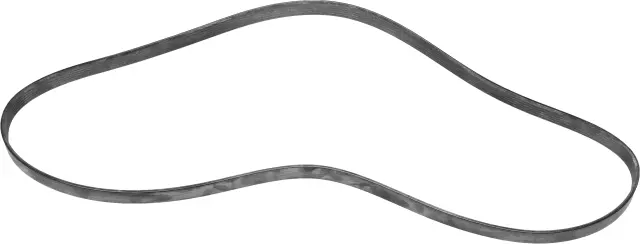 Serpentine Belt