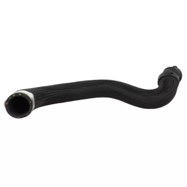 2018-2023 Ford Mustang Upper Hose JR3Z-8260-B | OEM Parts Online