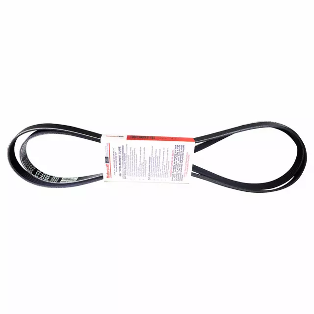 Serpentine Belt