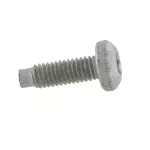 Coat Hook Screw