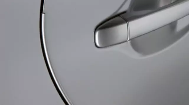 Door Edge Guards, Black Sand Pearl