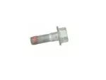Disc Brake Caliper Pin Bolt
