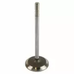 Engine Intake Valve