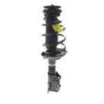 Suspension Strut and Coil Spring Assembly