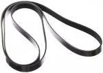 Serpentine Belt