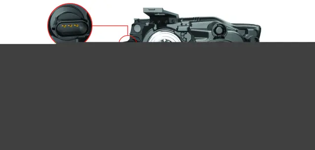 ランブット s-l400.jpg