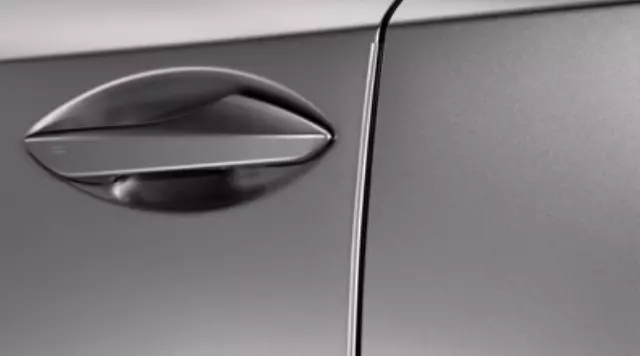 Door Edge Guards - Graphite Black