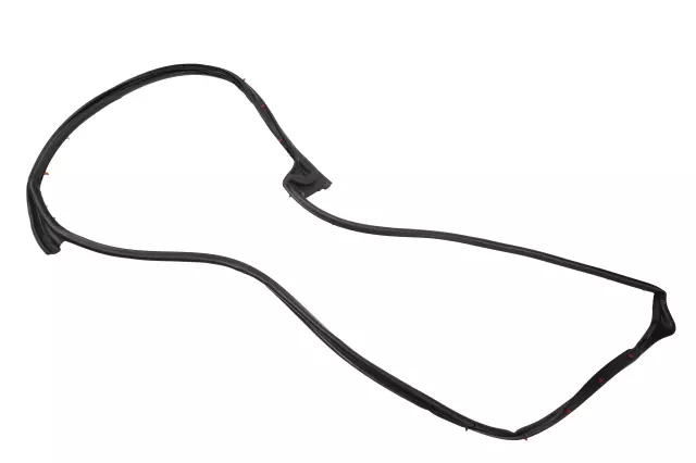 Front Passenger Side Door Weatherstrip