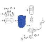 Coil Spring