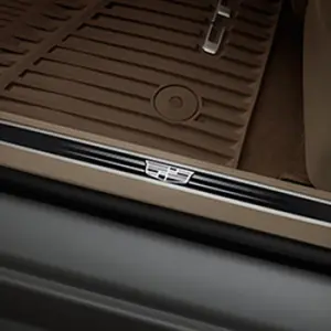 Door Sill Plates, Illuminated, Front