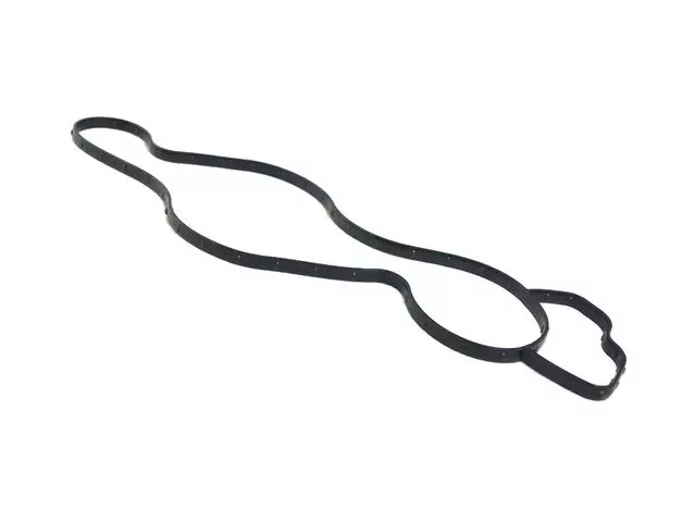 Water Pump Gasket