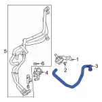 Radiator Coolant Hose