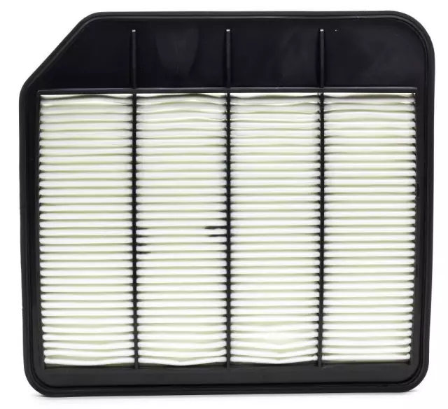 Value Advantage™ AIR FILTER