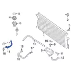 Radiator Coolant Hose