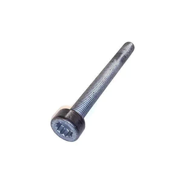 Caliper Mount Bolt