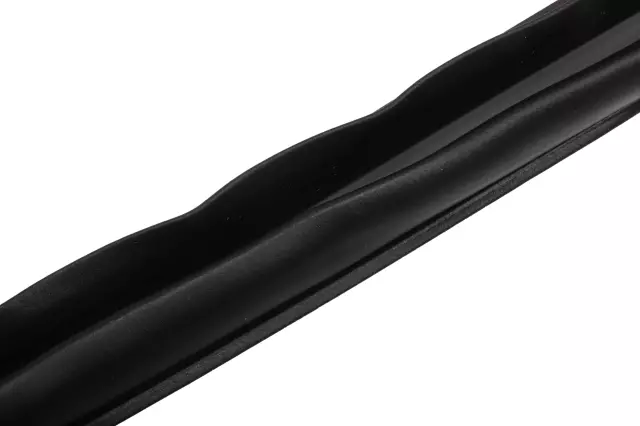 Rear Driver Side Door Weatherstrip