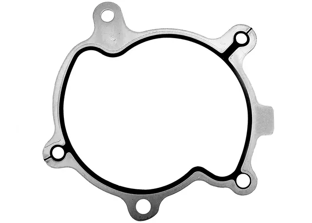 Water Pump Gasket
