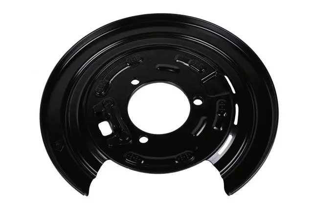 Rear Passenger Side Parking Brake Anchor Plate