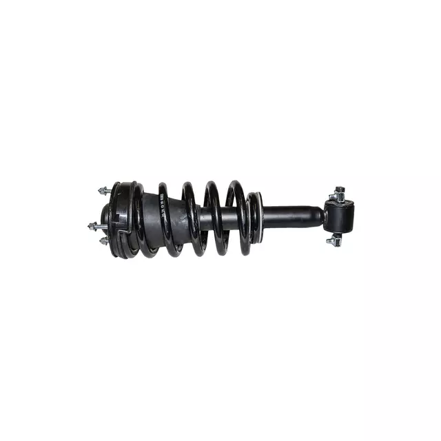 Front Suspension Strut and Coil Spring Assembly