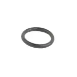Inlet Tube O-Ring