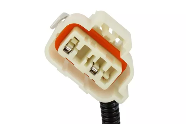 Black Rear License Plate Lamp