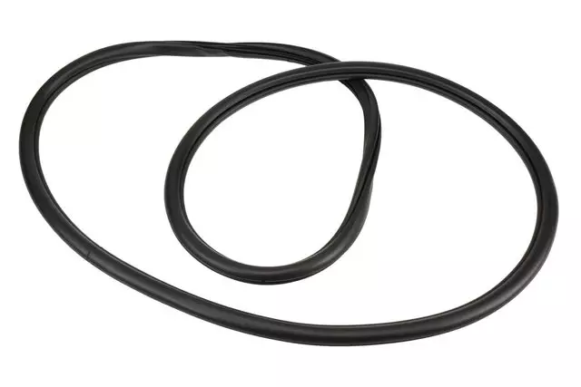 Rear Side Door Weatherstrip