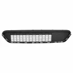 Bumper Grille