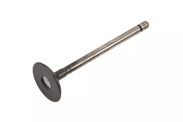 Exhaust Valve
