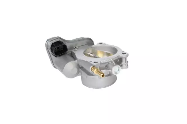 Fuel Injection Throttle Body