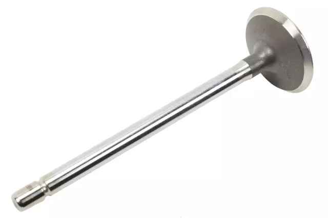 Exhaust Valve