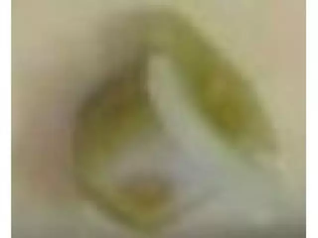 2011-2025 Ford - Fuel Pocket Nut