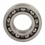 Transfer Case Output Shaft Bearing
