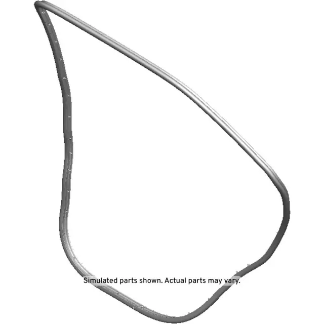 Passenger Side Rear Door Weatherstrip
