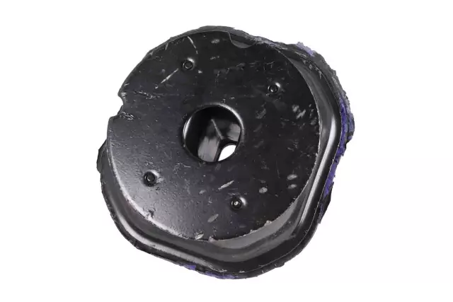 Upper Body Mount Cushion