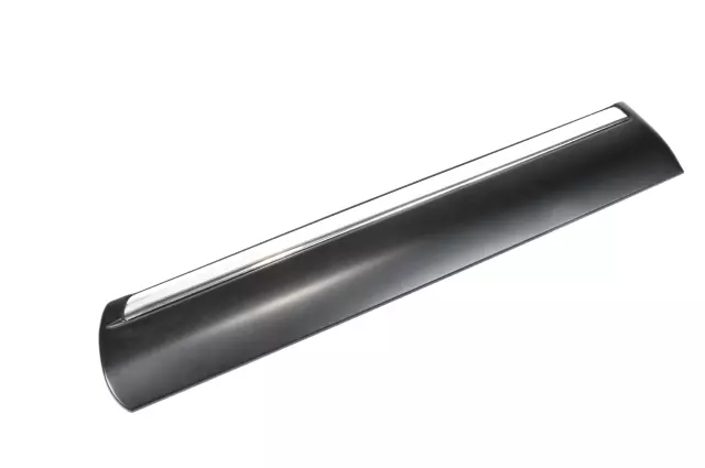 Driver Side Rear Door Molding