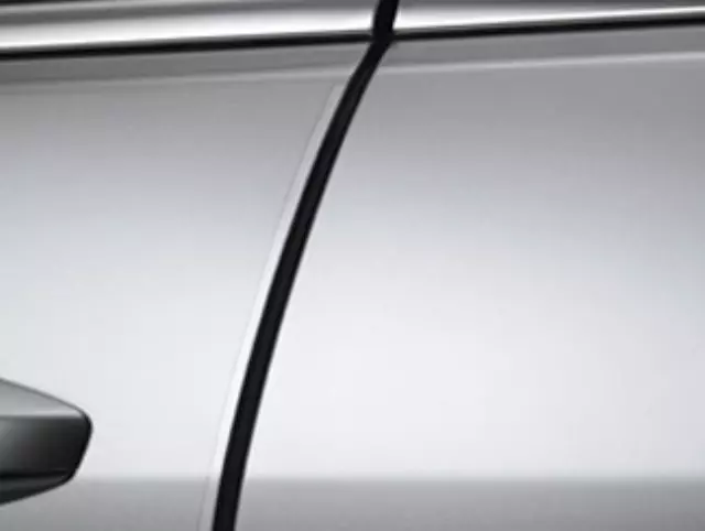 2011-2016 Honda CR-Z - Door Edge Film