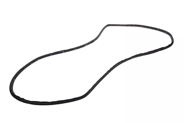 Rear Driver Side Door Weatherstrip