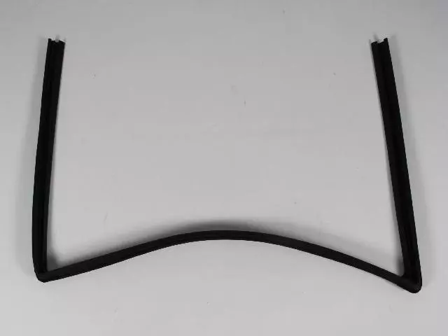 FRONT DOOR GLASS RUN - W/STRIP | Mopar 55399168AG