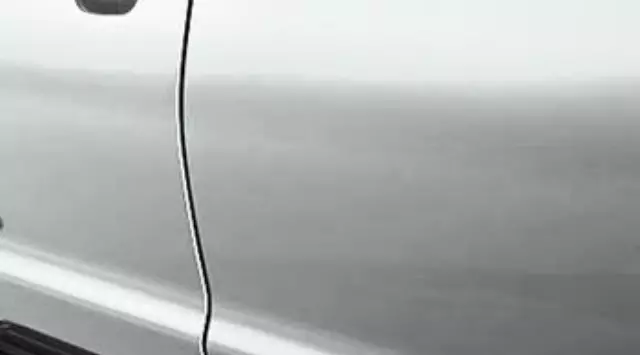 Door Edge Guard, Wind Chill Pearl