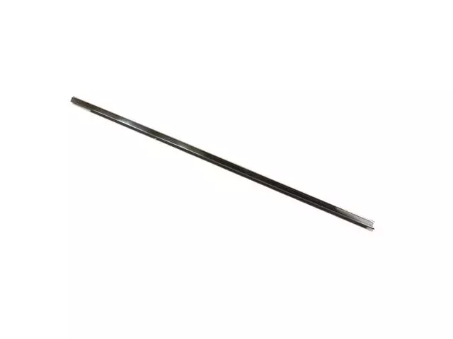 Door Belt Outer Weatherstrip, Right