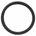 Thermostat O-Ring