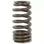 Valve Springs