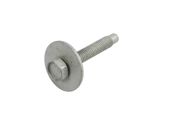 Multi-Purpose Bolt