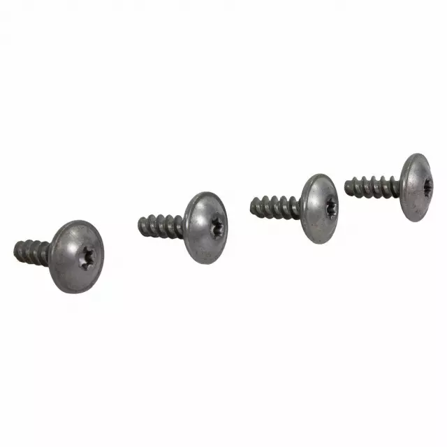 Latch Assembly Screw