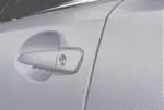 Door Edge Guards - Sonic Chrome